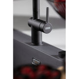 FRANKE Active L Auszugsbrause Black matt Seitenbedienung 115.0653.382