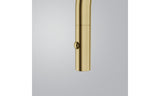FRANKE Pescara J Auszug Gold Auszugsbrause Edelstahl PVD 115.0741.697