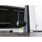 FRANKE Icon L Auszugsbrause Black matt Seitenbedienung 115.0625.190