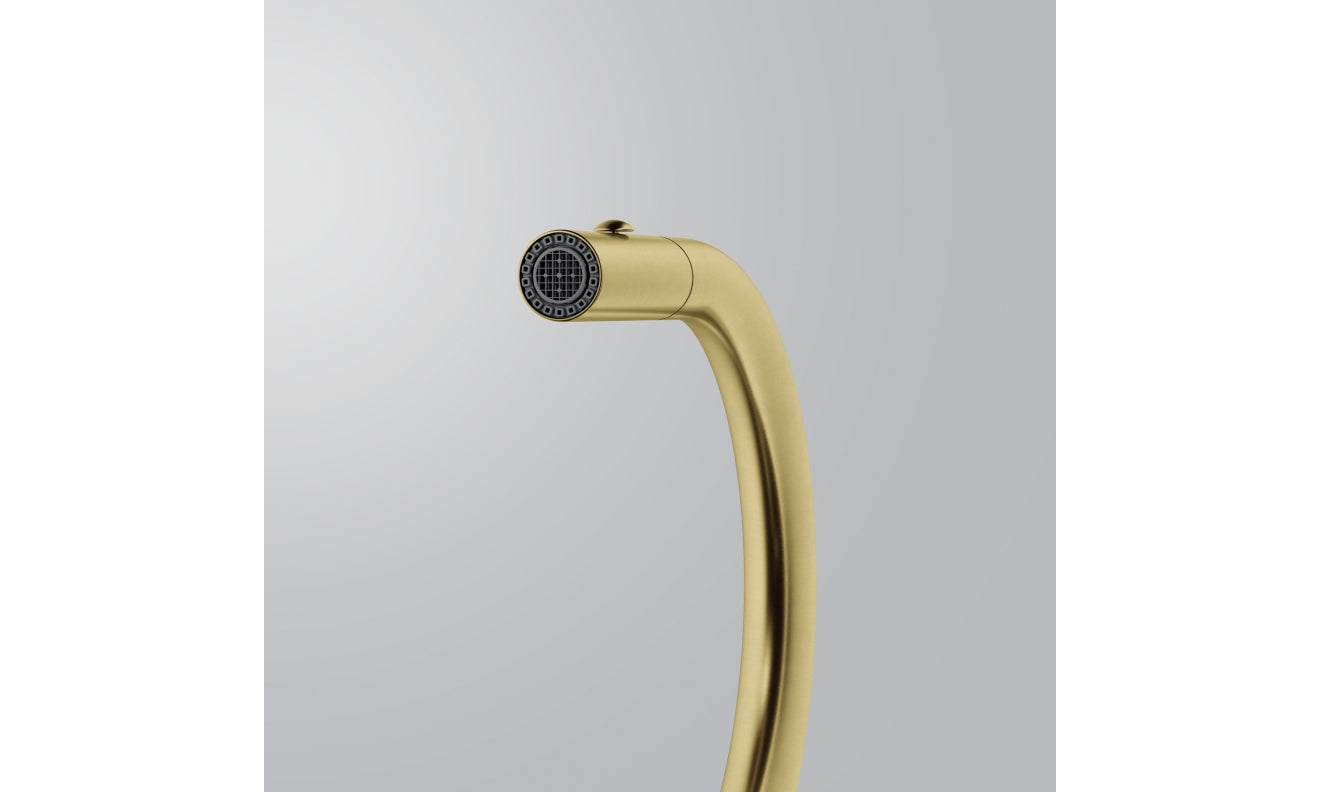 FRANKE Pescara J Auszug Gold Auszugsbrause Edelstahl PVD 115.0741.697