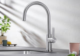 BLANCO CANDOR metallische Oberfläche Hochdruck Edelstahl gebürstet 523120