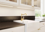 BLANCO TRADON PVD Hochdruck satin gold 526688