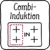 CombiInduction